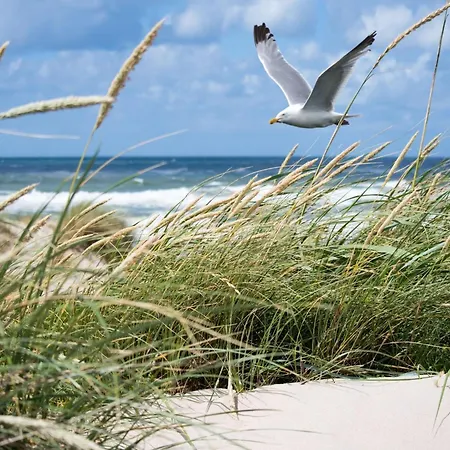 Daire In Het Zoute Near Place Rubens